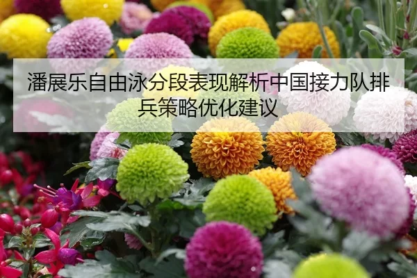 潘展乐自由泳分段表现解析中国接力队排兵策略优化建议