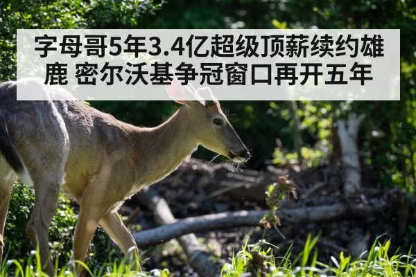 字母哥5年3.4亿超级顶薪续约雄鹿 密尔沃基争冠窗口再开五年