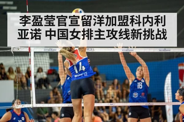 volleyball match