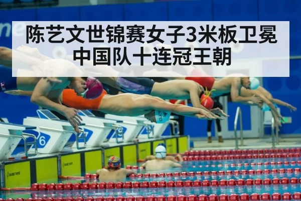 international diving competition