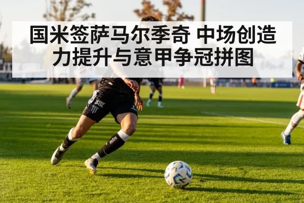 国米签萨马尔季奇 中场创造力提升与意甲争冠拼图